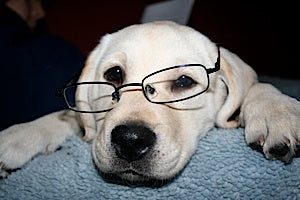 What’s This Blog About?