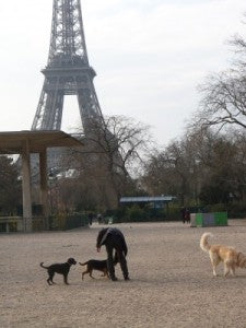 Paris: A City of Dog Lovers