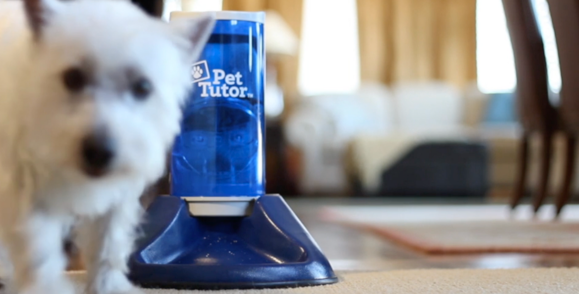 Smart Training Feeder & Accessories Pet Tutor® by Smart Animal