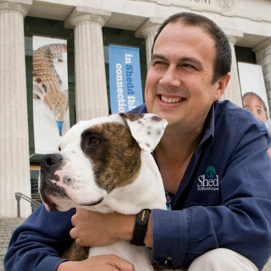 Pet Tutor Home Pet Tutor® by Smart Animal Training Systems