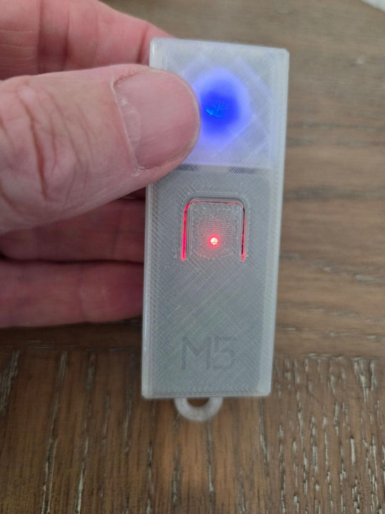 Basic Remote Pet Tutor